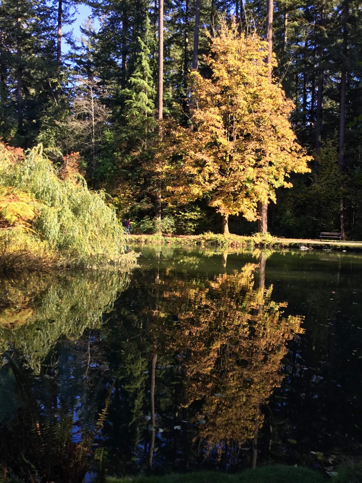 Adeline Niccoli took this shot in Burnaby.