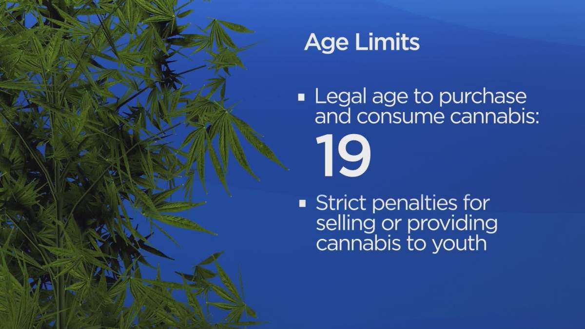 Legal age to buy marijuana in Saskatchewan s 19-years-old.
