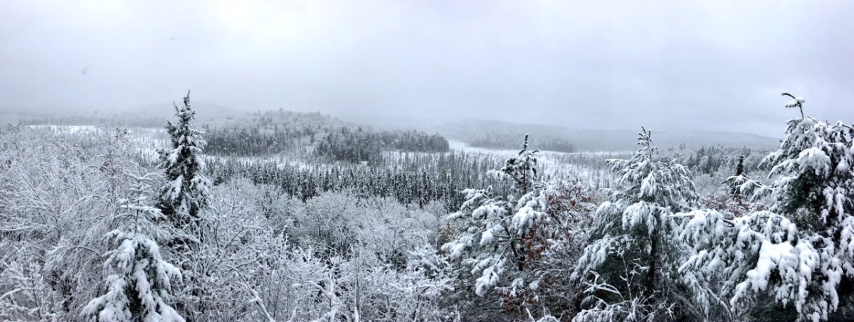 Algonquin Park was blanketed in snow early Wednesday morning. 