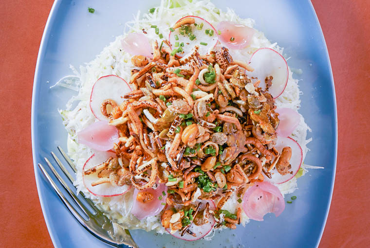 Credit: Paula Wilson