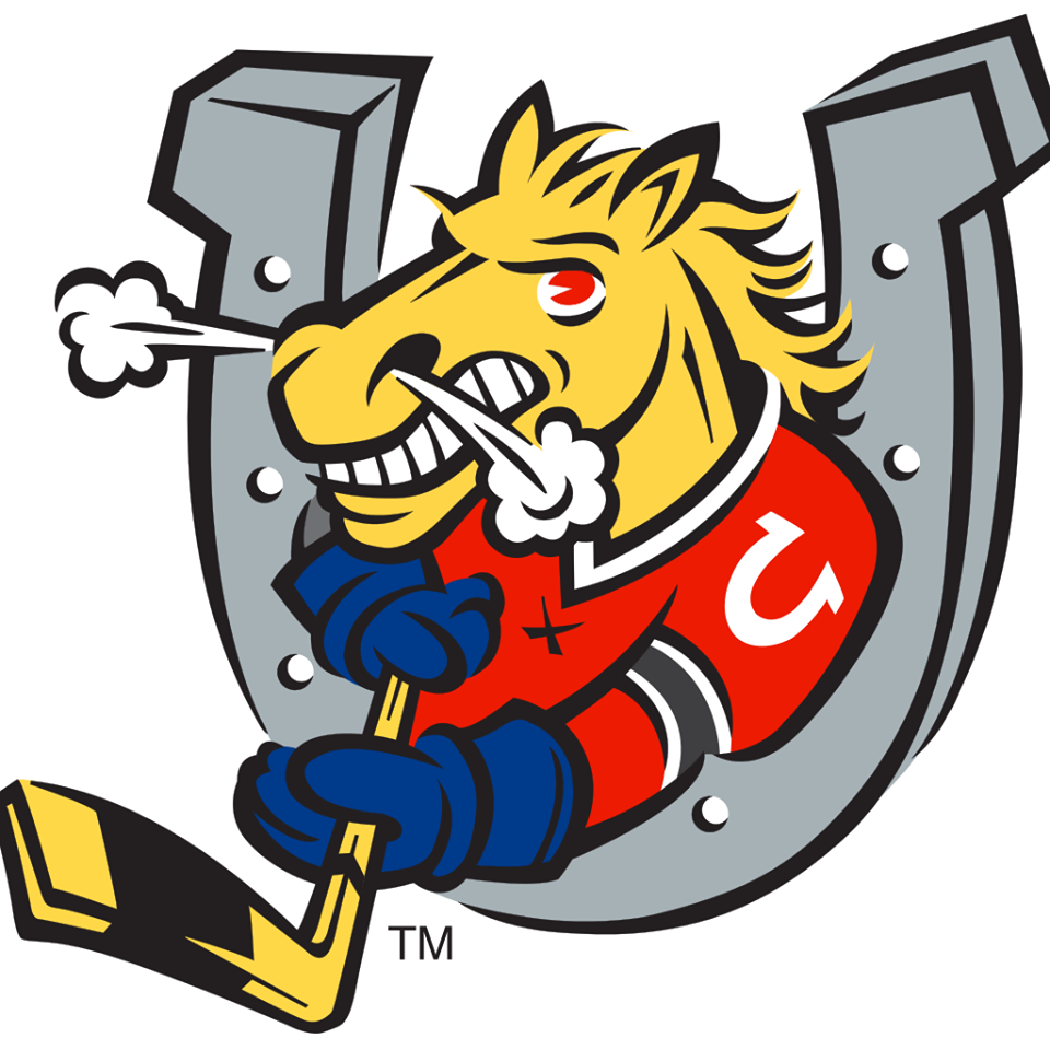 Barrie Colts forward, Riley Piercey has been selected to play for team Canada in the 2018 World Under-17 Hockey Challenge.