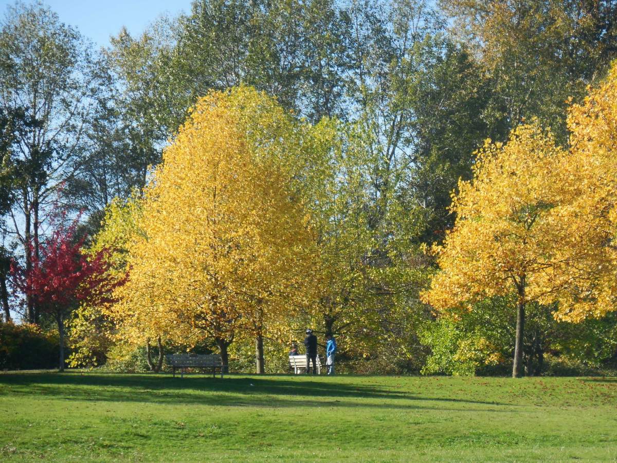 Betsy Randel caught these colours at Jericho Park.