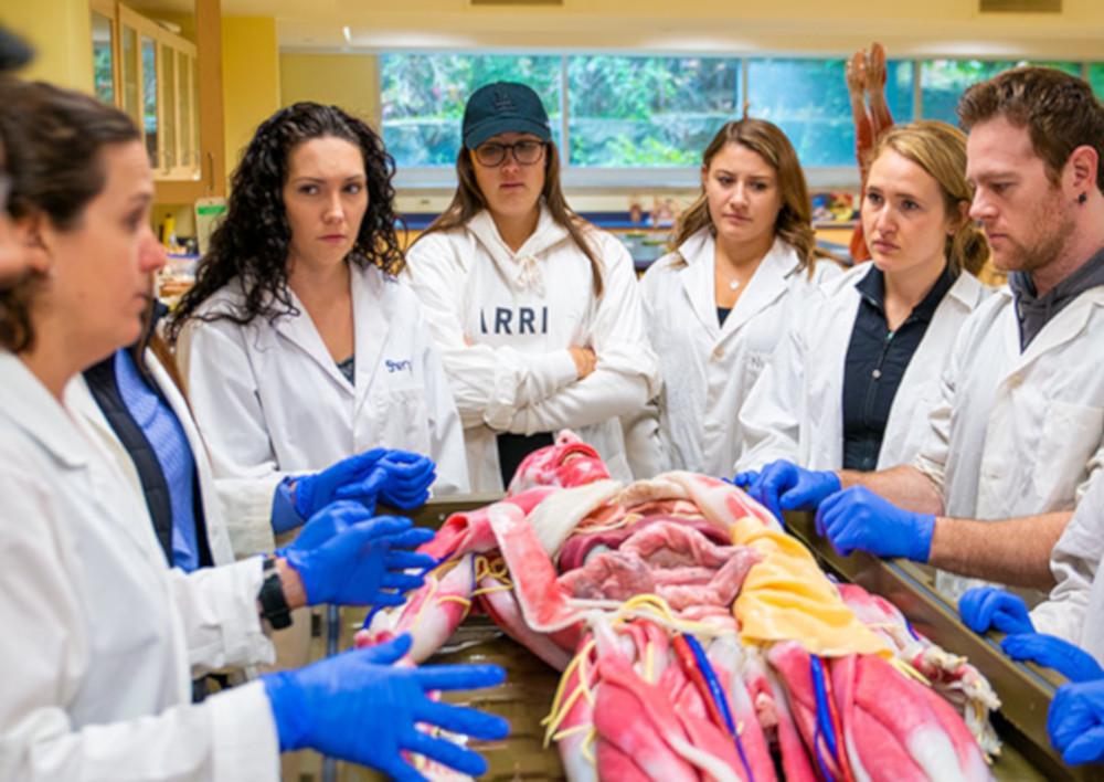 the synthetic cadavers are already in use at the school.