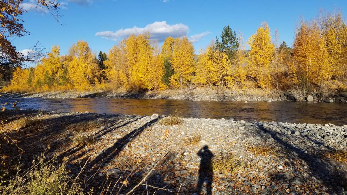 These golden colours were captured by Bonnie Cairns in Princeton.