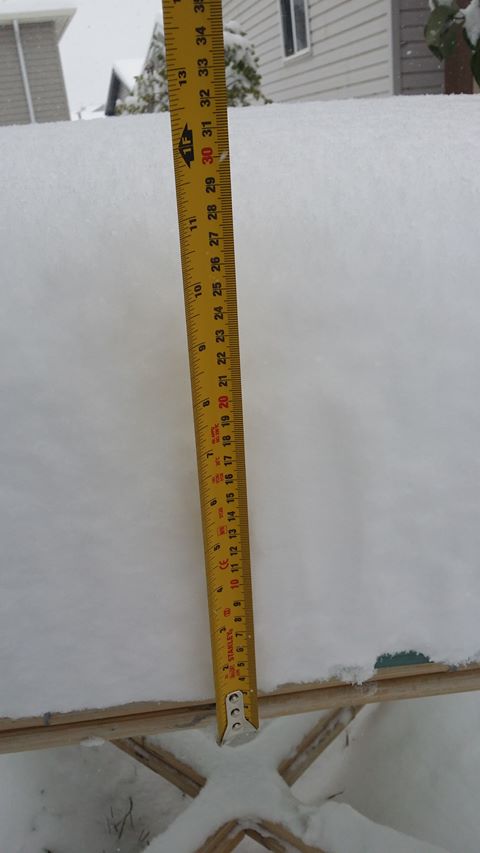 Snow in Calgary on Tuesday, October 2, 2018.