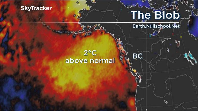 The Blob, the name of an area of water where the sea surface temperature is about two degrees Celsius above normal.