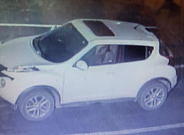 Kingston police searching for violent suspect after alleged attack ...
