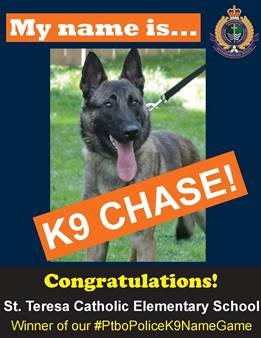 Chase is one of two new service dogs joining the Peterborough Police Service in 2019.