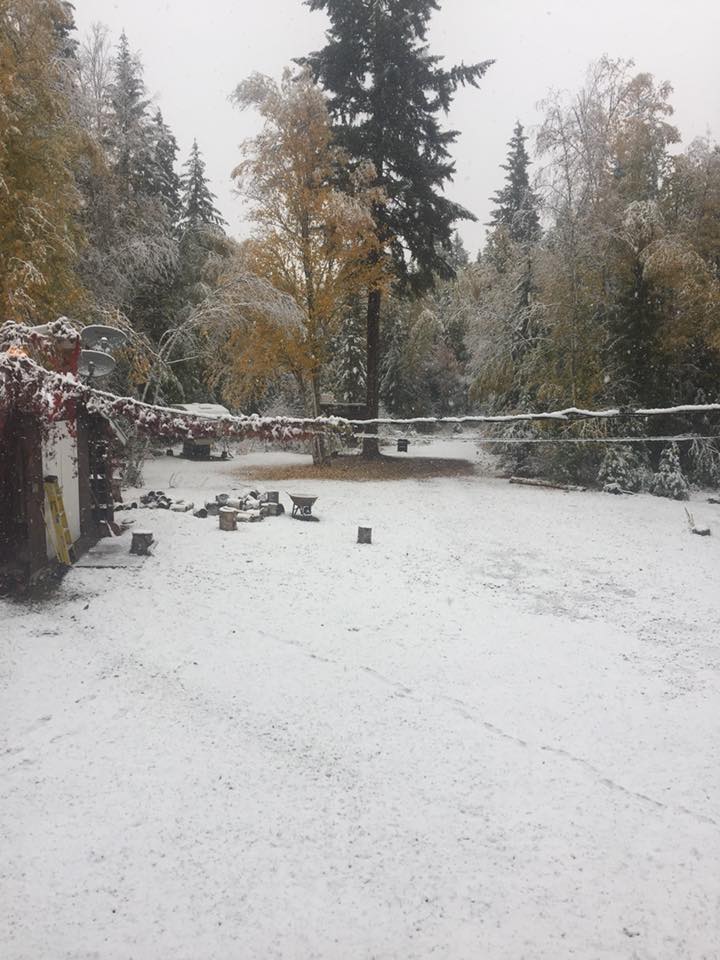 Clearwater. Credit: Amanda Taylor