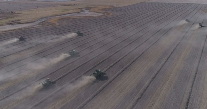 Many Saskatchewan farmers unable to fill grain contracts: industry survey