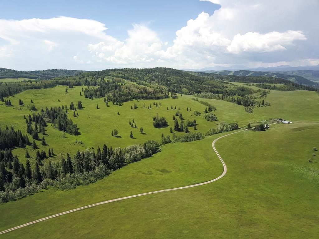 A section of land next to the Sheep River in Southern Alberta will become a protected grassland area.