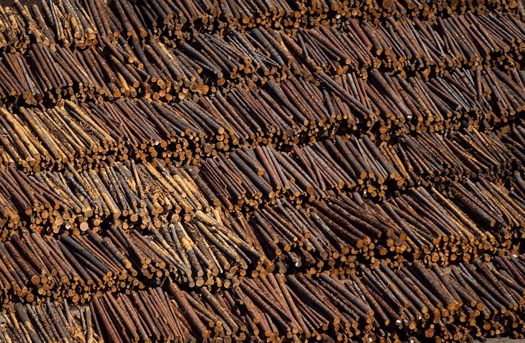 Logs are seen in an aerial view stacked at the Interfor sawmill, in Grand Forks, B.C., on May 12, 2018. Interfor Corp. says it plans to cut production by about 20 per cent across its sawmills in the B.C. interior as it faces declining lumber prices and higher log costs. THE CANADIAN PRESS/Darryl Dyck.
