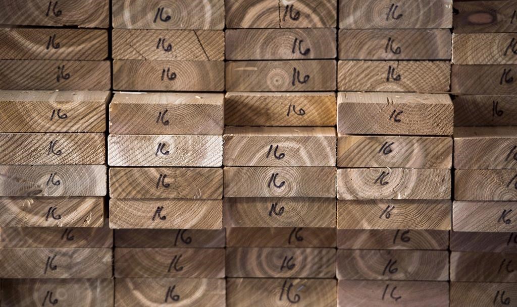 Meadow Lake Tribal Council Chief Richard Ben said the federal government’s investment in NorSask is a statement of support for forest-based economies.