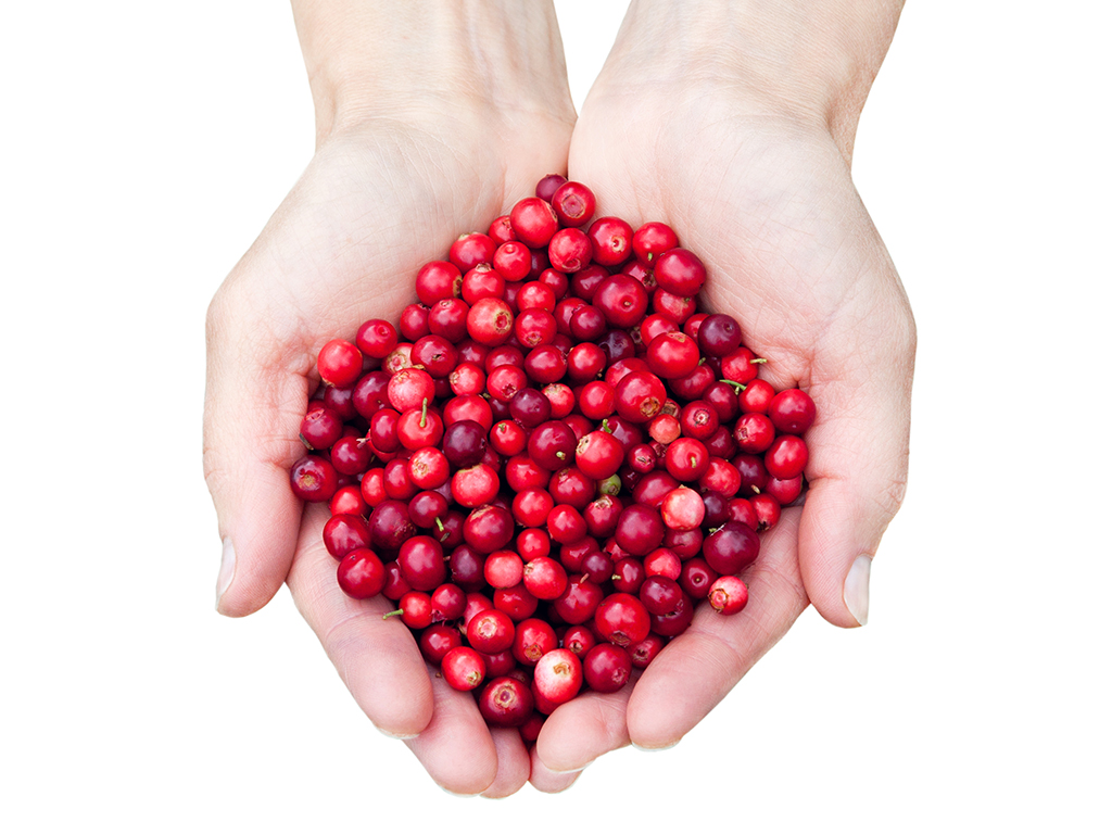 Cranberries are one of the lowest-sugar fruits.