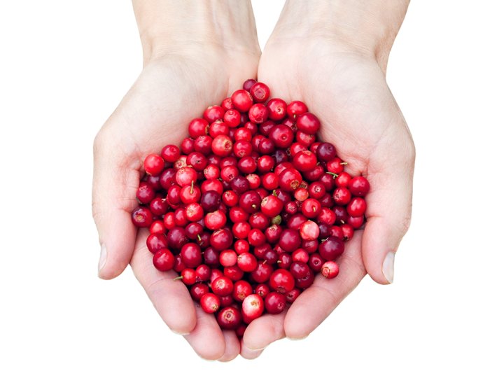 Health benefits of cranberries Why you should eat more of the superfood National Globalnews.ca