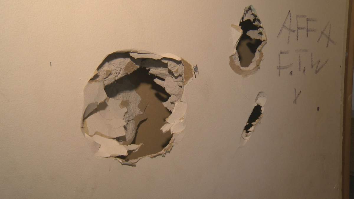 Okanagan rental home trashed beyond belief: ‘It’s just ruined’ - image