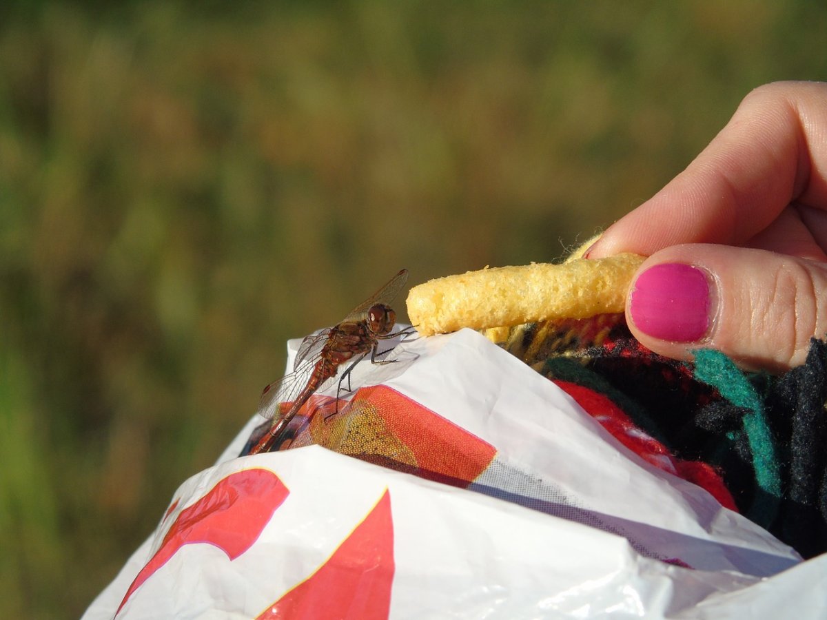 A U of M scientist is receiving funding to develop a device that creates aerated puffed products like cheese puffs.