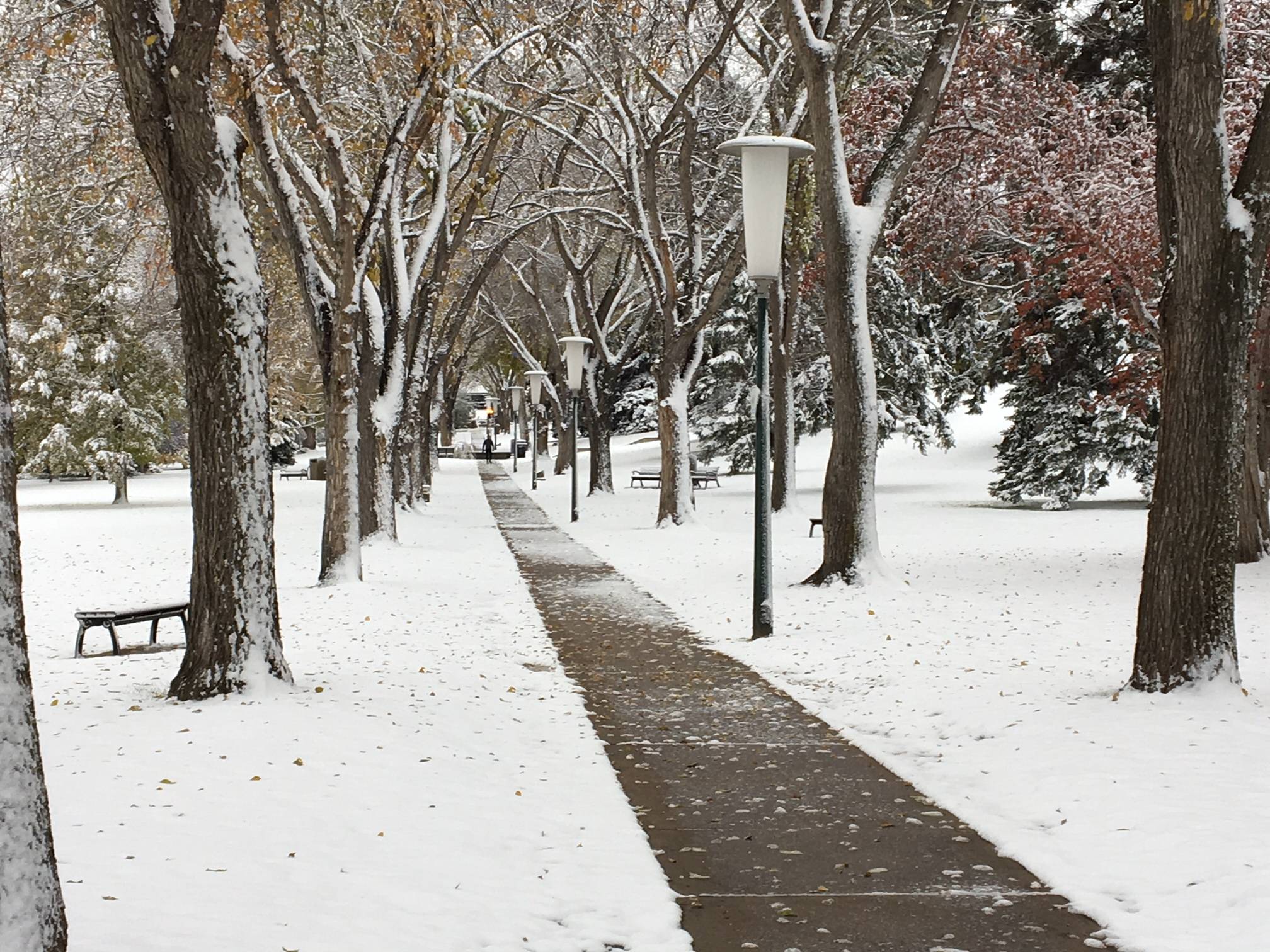 Snow-clearing plans could 'trap' Edmontonians with disabilities, advocate says - Vimarsana News