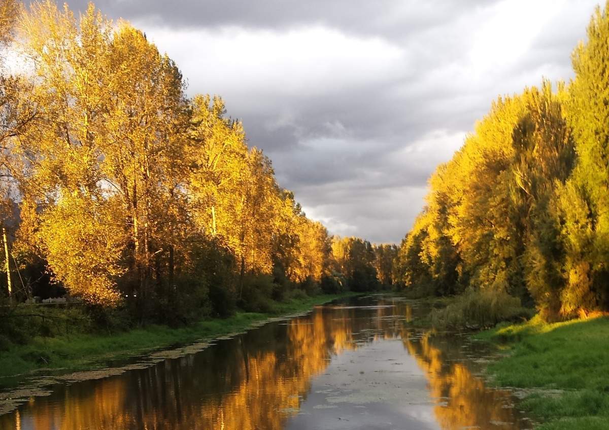 B.C. is alive with autumn colours. 