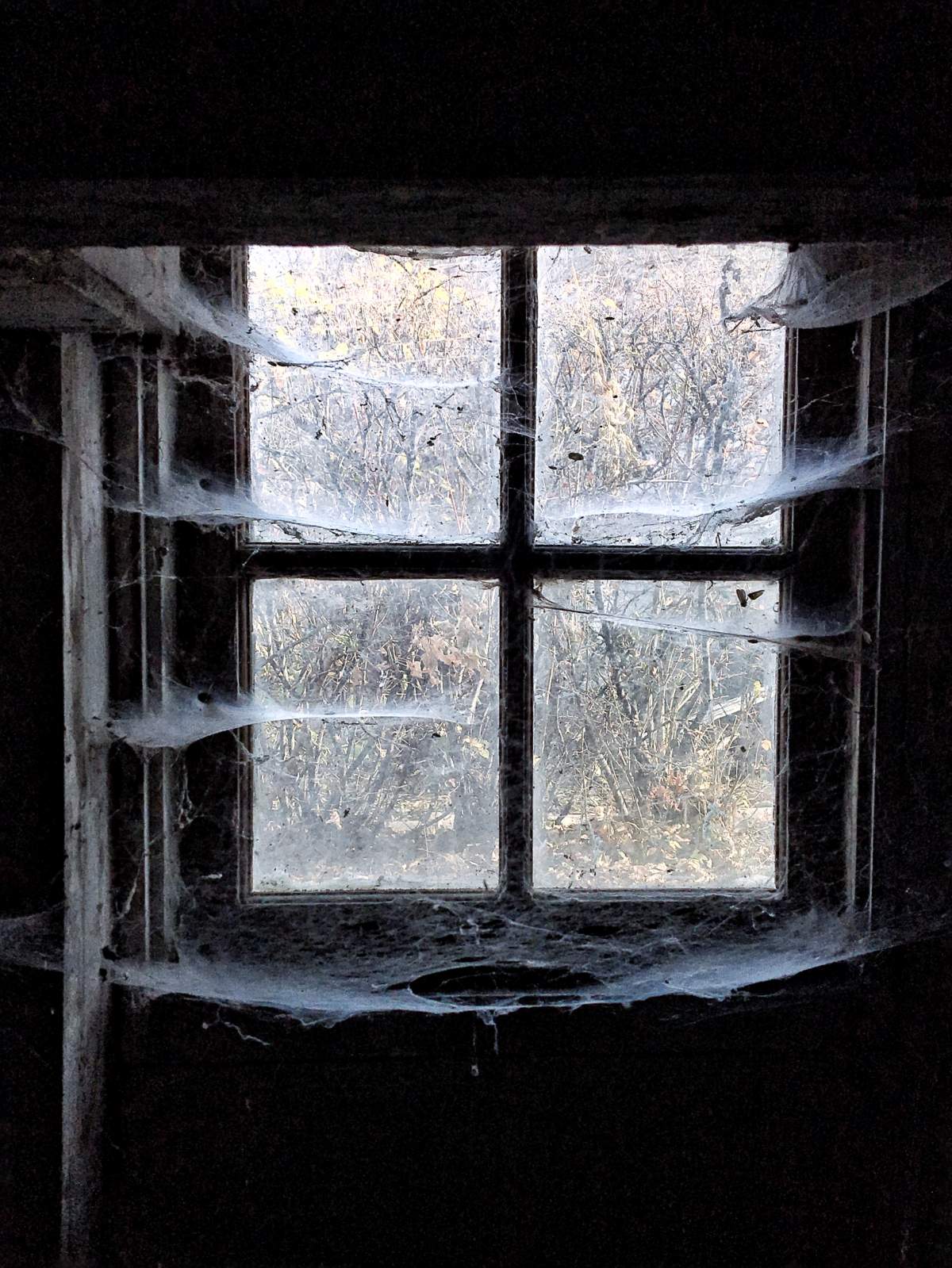 Window in carriage house