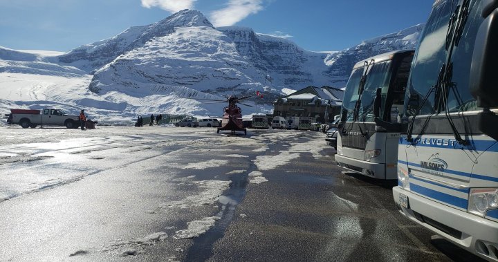 columbia icefield tour bus accident