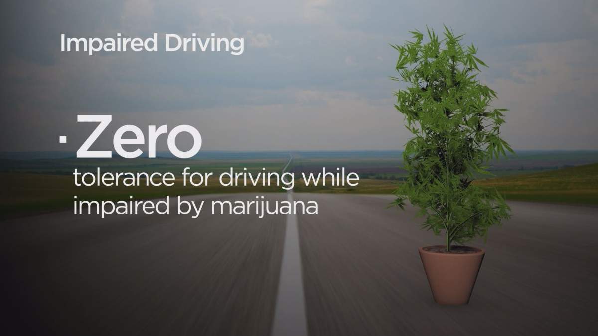 No one is allowed to drive while high, if you are driving while impaired on pot it is a criminal offence similar to drinking and driving.
