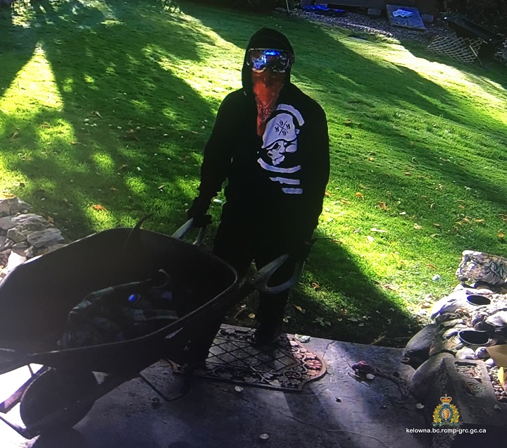 Video surveillance caught images of this disguised suspect during a daytime residential break-and-enter on Wednesday morning. Police say a suspect was arrested just hours after the break and enter.