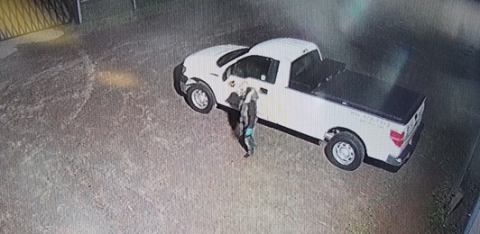 Cobourg police probe rash of business break-ins - image