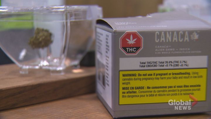 Saskatchewan cannabis shops are up and running in Yorkton, Rural Municipality of Edenwold, North Battleford, Battleford and Martensville. Now in the second day of legalization, local cannabis shops remain busy.