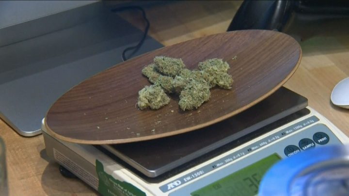 RCMP said they seized 1.3 pounds of cannabis and closed down an unlicensed store in Yorkton.