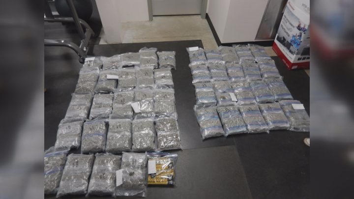 Prince Albert RCMP said a significant amount of marijuana was seized Monday at a storage locker in the northern Saskatchewan city.