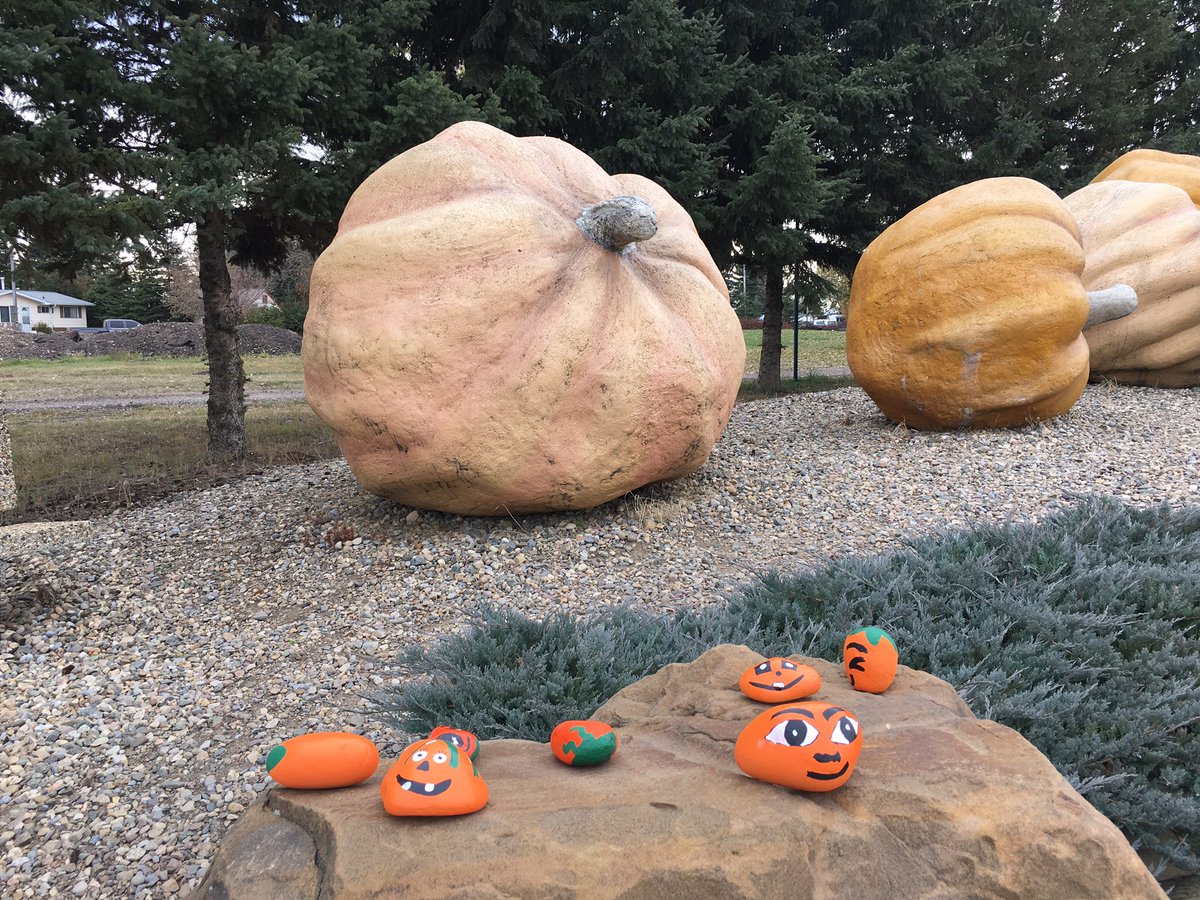 In Photos Giant pumpkins tip the scales once again in Smoky Lake