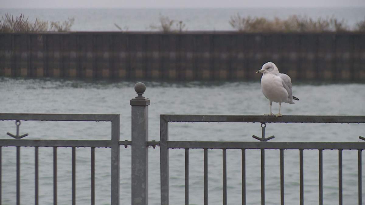 The Central Lake Ontario Conservation Authority is warning Durham residents to stay away from all watercourses, such as Lake Ontario (pictured), as the heavy rainfall may cause dangerous conditions. 