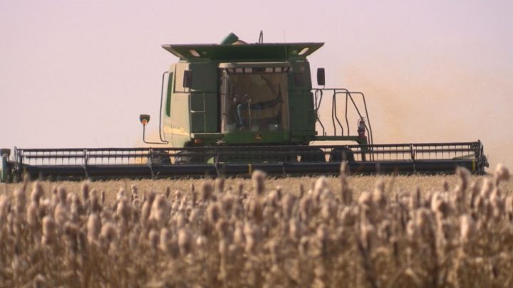 Southern regions are furthest along, with one per cent of the crop combined as harvest operations are underway in Saskatchewan.