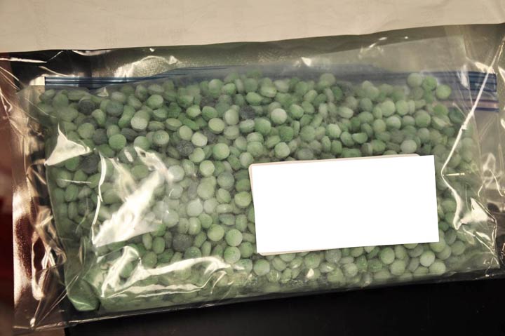 Saskatoon police said preliminary tests on the seized pills has identified the presence of carfentanil.