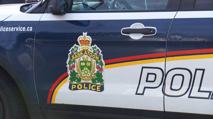A Saskatoon man has been arrested after he assault his girlfriend and tried grabbing an officer's weapon.