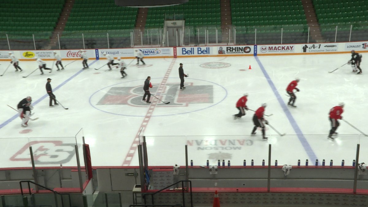 The Belleville Senators look forward to their second season in the American Hockey League.