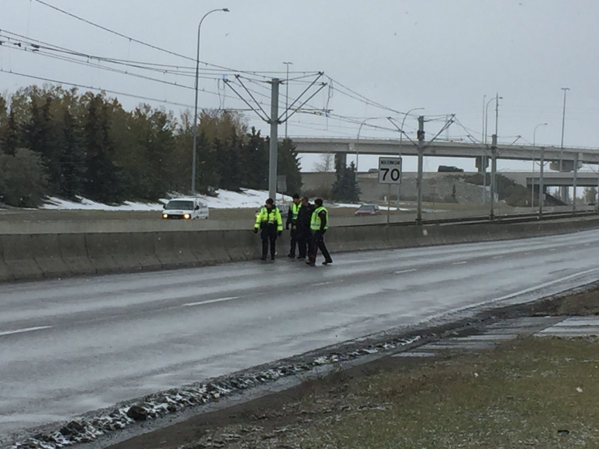 Calgary police are seen searching the area around the McKnight-Westwinds LRT station following an assault on Oct. 8, 2018.