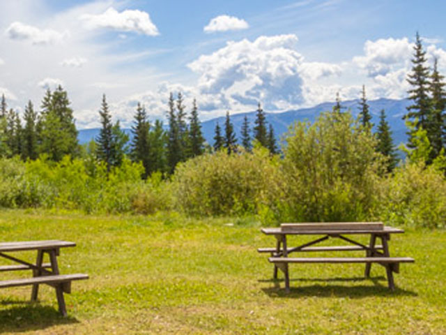 Two youths became stranded in a remote area near Rocky Mountain House Friday.