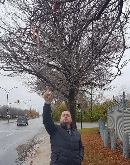 A resident points to animal parts stuck in a tree the morning after an incident involving a Sanimax truck.