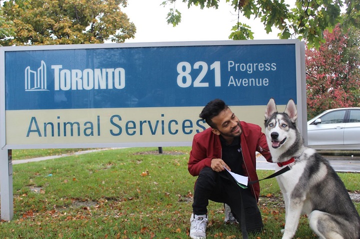Toronto Animal Services says Sober the dog has been reunited with its owner.