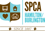 burlington spca cats