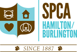 Hamilton-Burlington SPCA is dealing with an influx of rescues, so it's offering adoption specials.