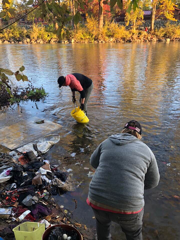 Volunteers pluck needles from the Cowichan River