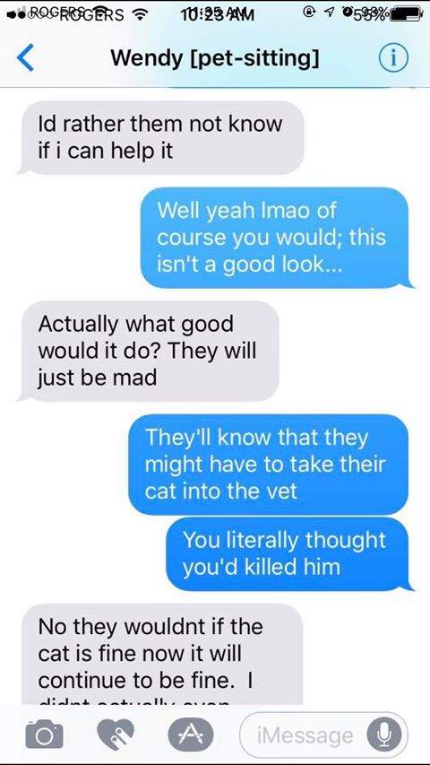 Kingston pet-sitting business allegedly mismanaged, says former workers, client - image