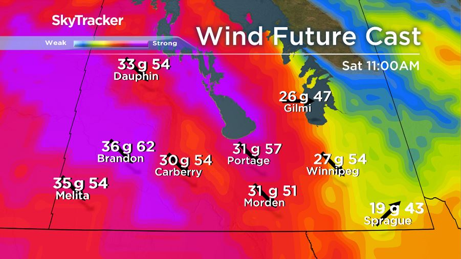 NAM model showing expected wind speeds and wind gusts Saturday morning.