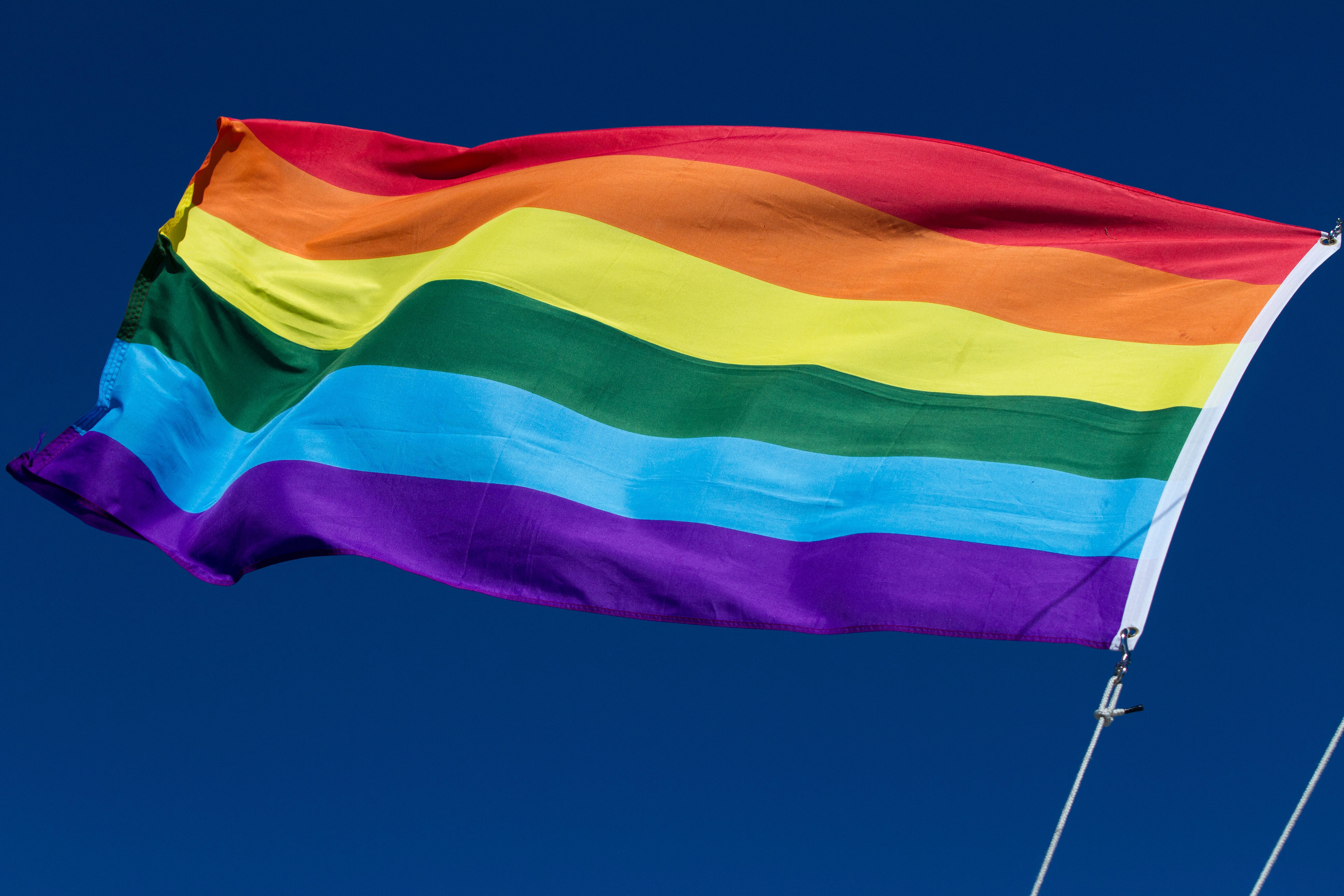 pictures of the real gay flag