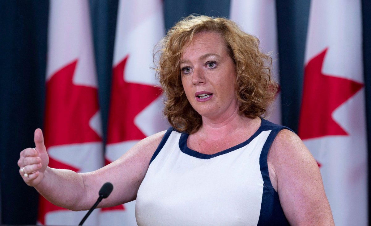 Lisa MacLeod, Ontario's Minister of Children, Community and Social Services speaks with the media in Ottawa, Monday August 13, 2018.