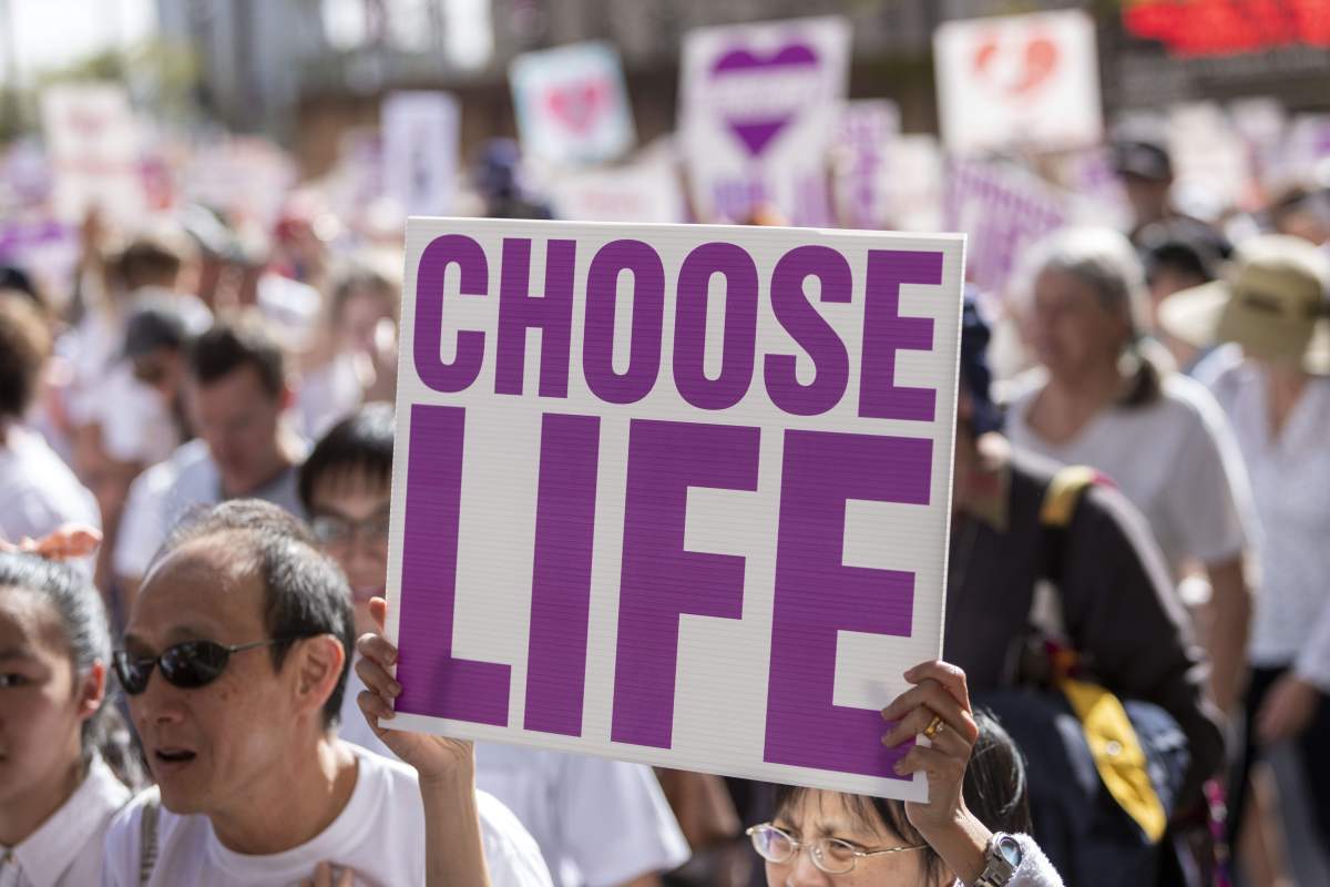 Premier Brian Pallister says protesters have the right to protest on public property.