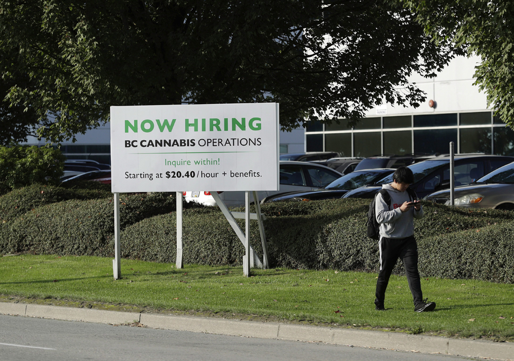 A few weeks before legalization, a pedestrian walks past B.C.’s cannabis warehouse in Richmond. (AP)